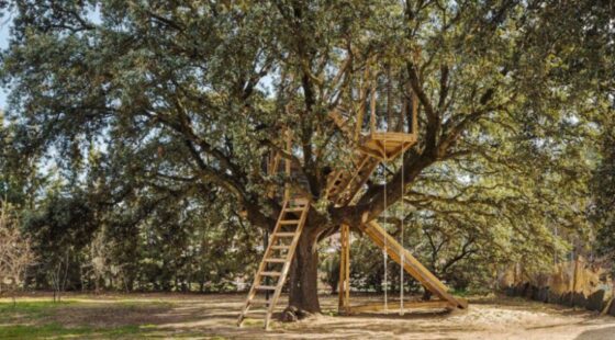 Tree house for children
