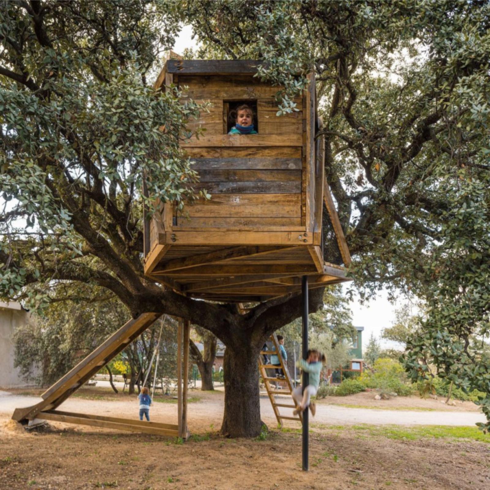 Tree house for children