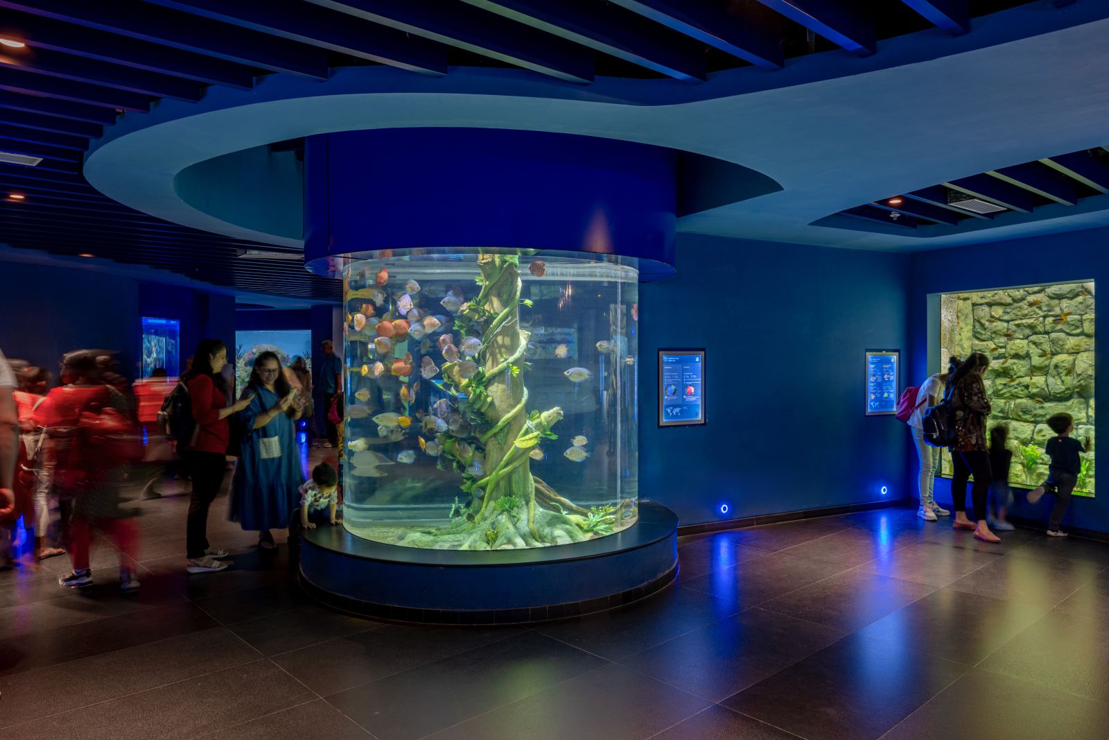 Aquatic Gallery