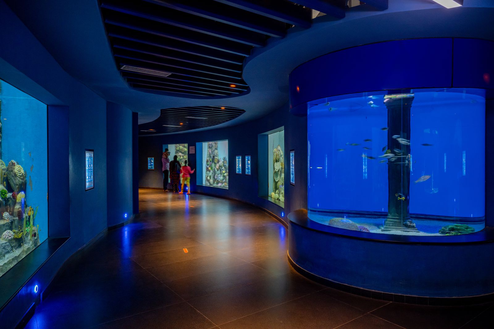 Aquatic Gallery