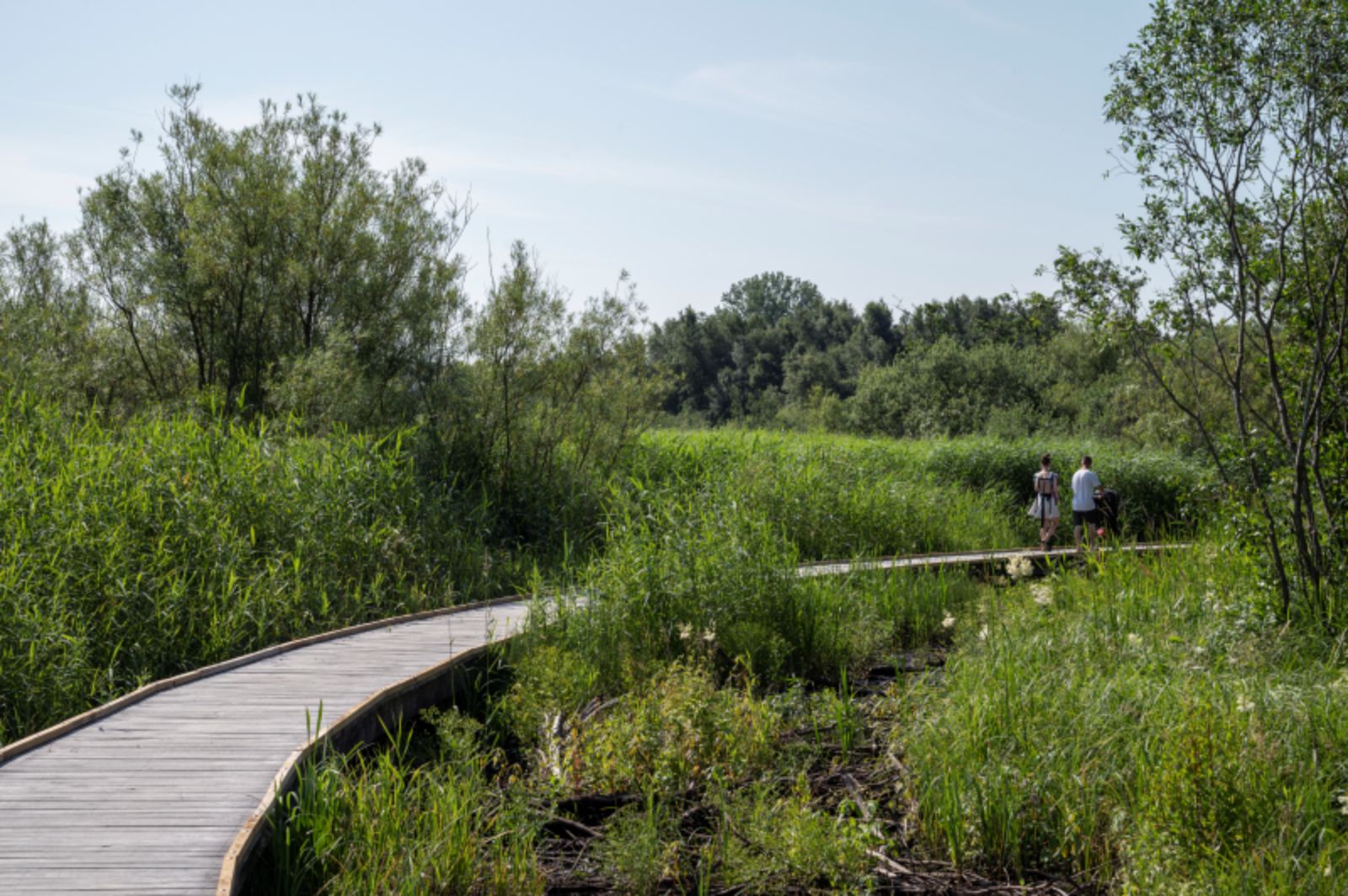 Stork Meadow