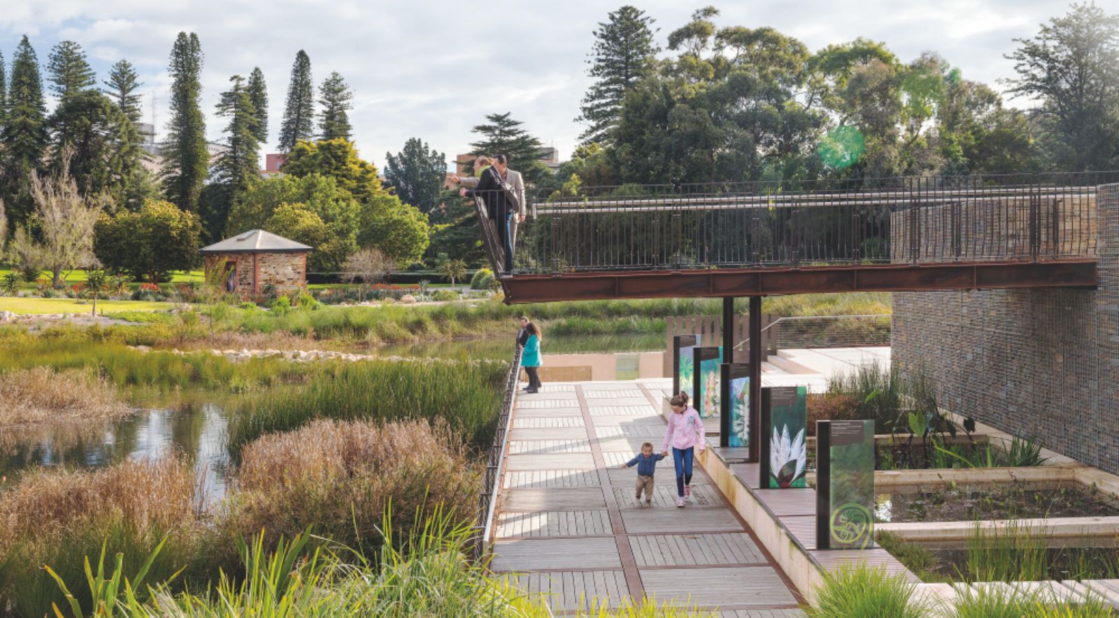 Adelaide Botanical Gardens Wetland