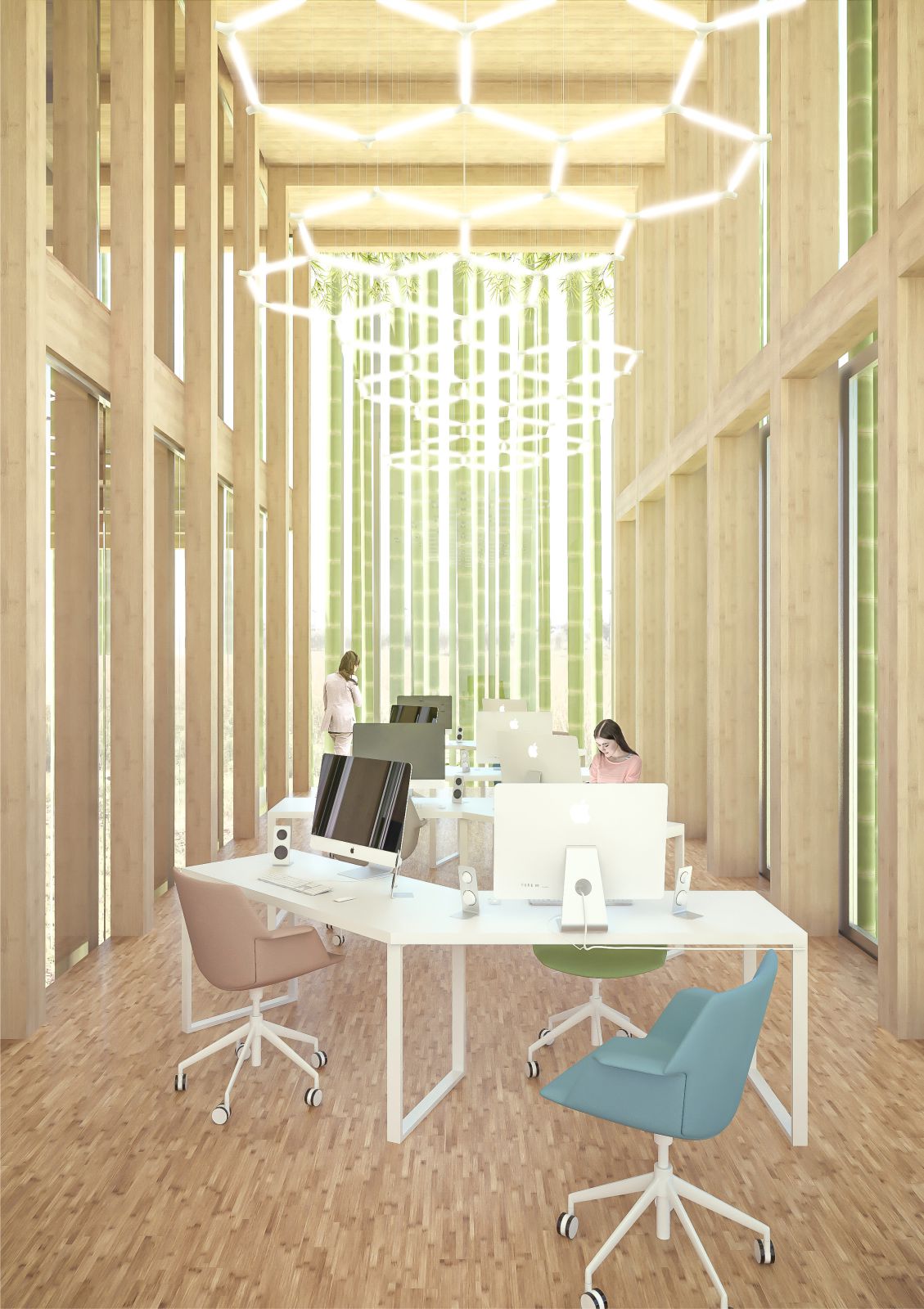 Bamboo Office 